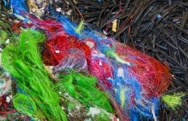 从垃圾填埋场到资源:地球循环如何有助于对抗塑料污染